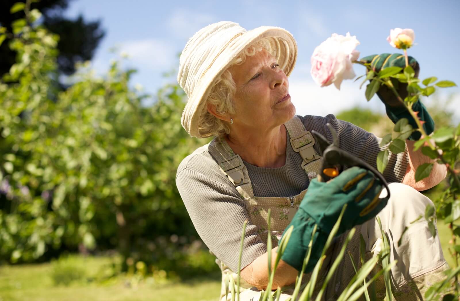 A senior wears a big hat and breathable clothes while outside gardening in the summer to stay safe from the heat